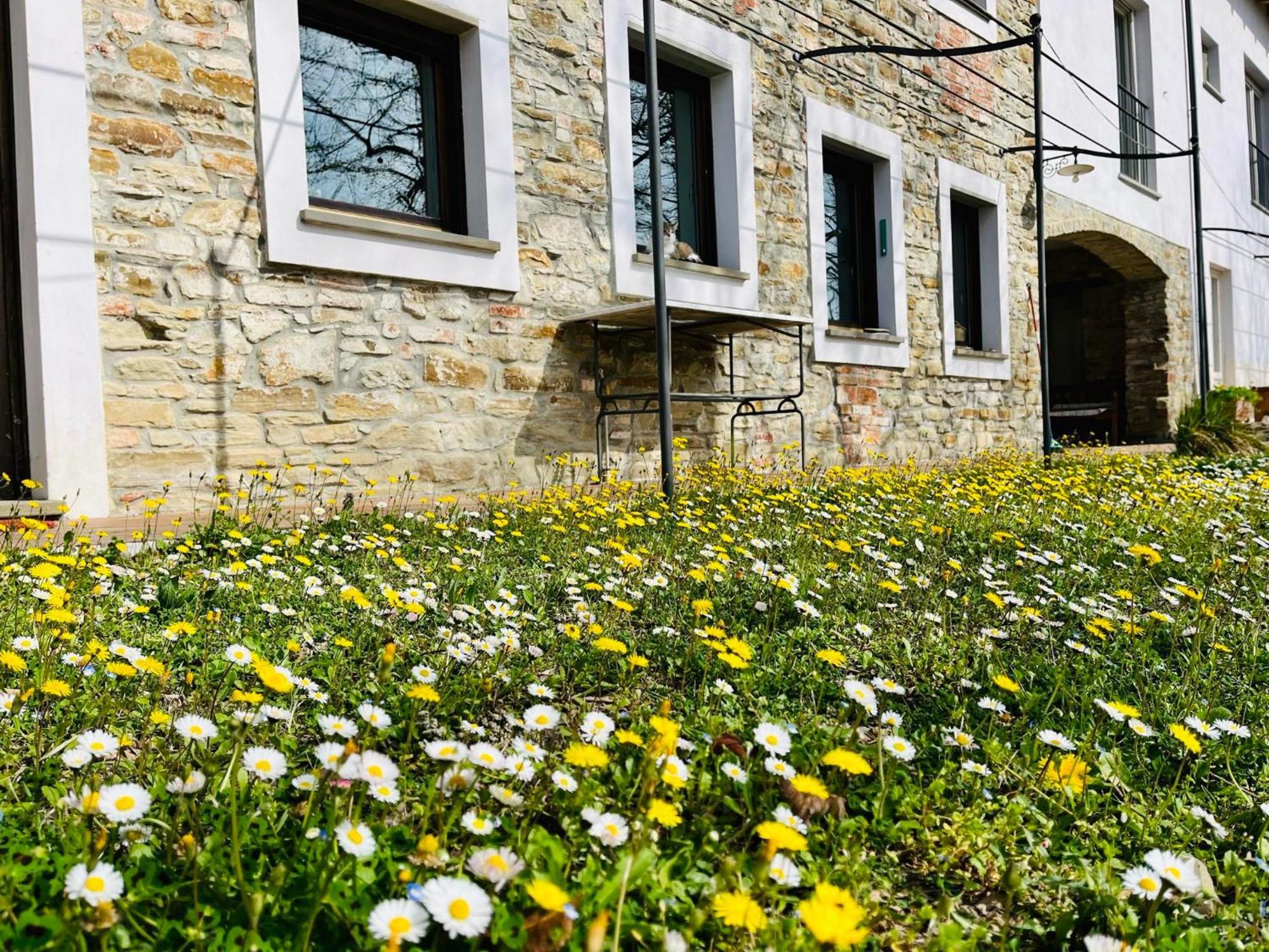 B&B Al Giardino Dei Mandorli Prasco Exteriér fotografie