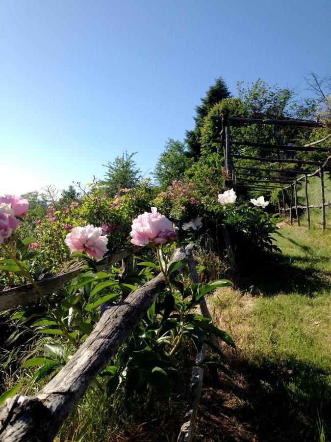 B&B Al Giardino Dei Mandorli Prasco Exteriér fotografie
